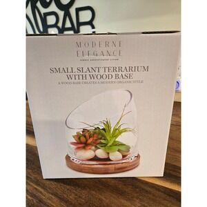Moderne Elegance Small Slant Terrarium with Wood Base Modern Organic Style NEW